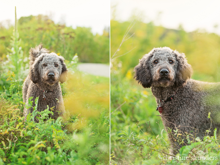 Callie.Melissa.Liam_Fall 2015 blog-5