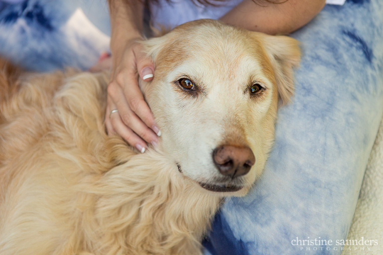 Kitchener Pet Photographer
