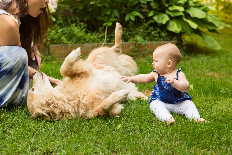 kitchener baby photographer
