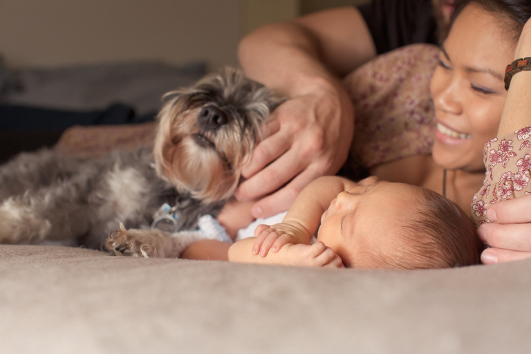 Guelph newborn photographer