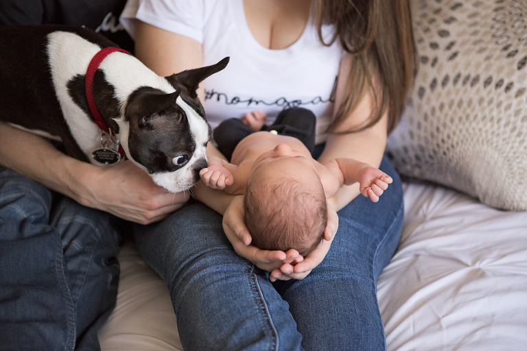 Kitchener Waterloo Newborn Photographer