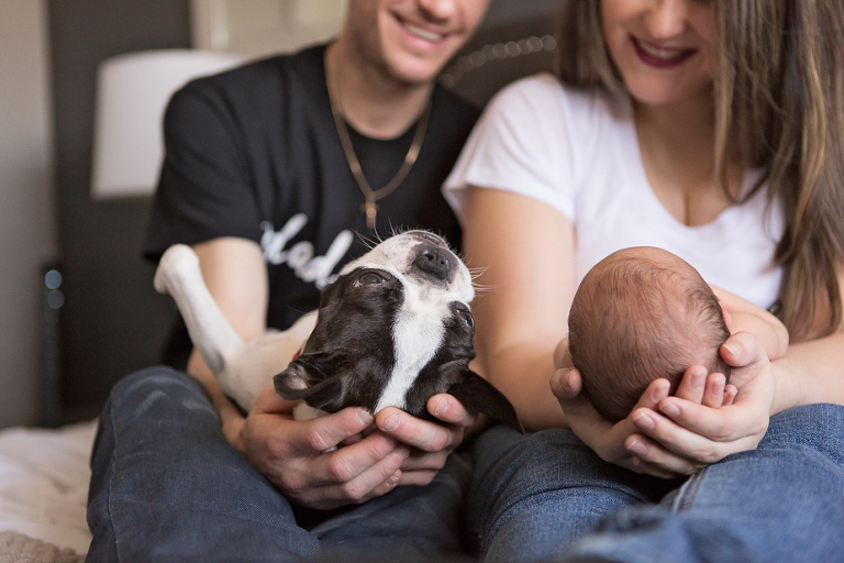Kitchener Waterloo Newborn Photographer