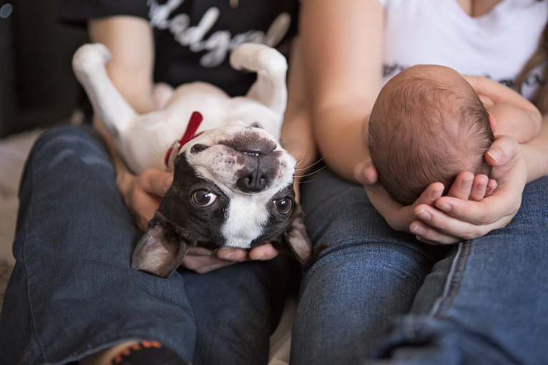 Kitchener Waterloo Newborn Photographer
