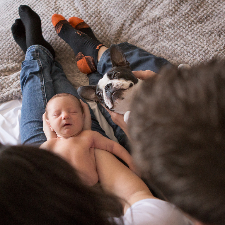 Kitchener Waterloo Newborn Photographer