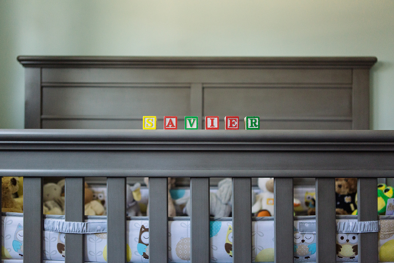 Kitchener Waterloo Newborn Photographer