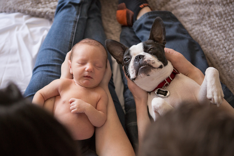 Kitchener Waterloo Newborn Photographer