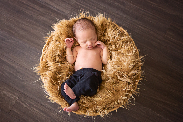 Kitchener Waterloo Newborn Photographer