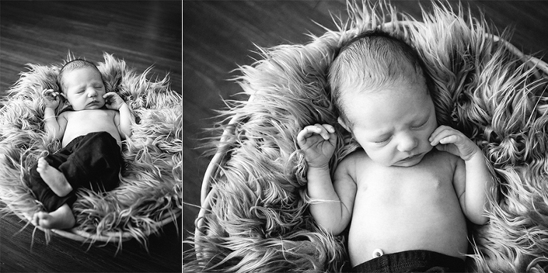 Kitchener Waterloo Newborn Photographer