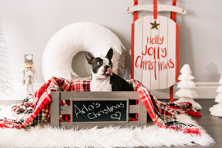 Arlo Christmas
