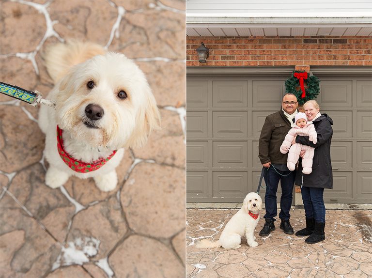 family photographer